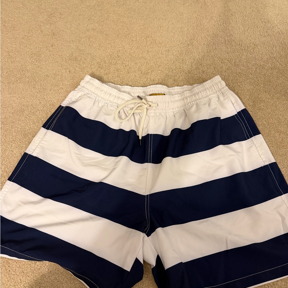 Ralph Lauren Blue and White Striped Swim Trunks